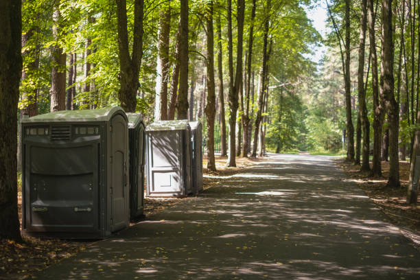 Professional Tree Removal in Hastings On Hudson, NY